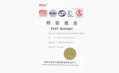 檢驗(yàn)報(bào)告